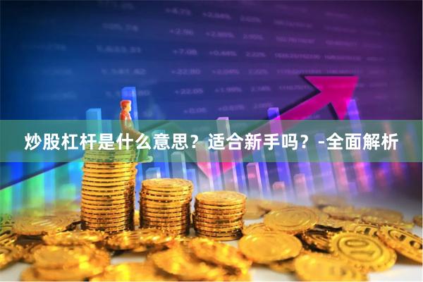 炒股杠杆是什么意思？适合新手吗？-全面解析